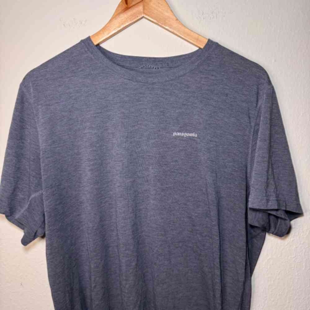 Patagonia Men's Gray Short Sleeve Tee